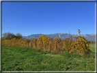 foto Alle pendici del Monte Grappa in Autunno